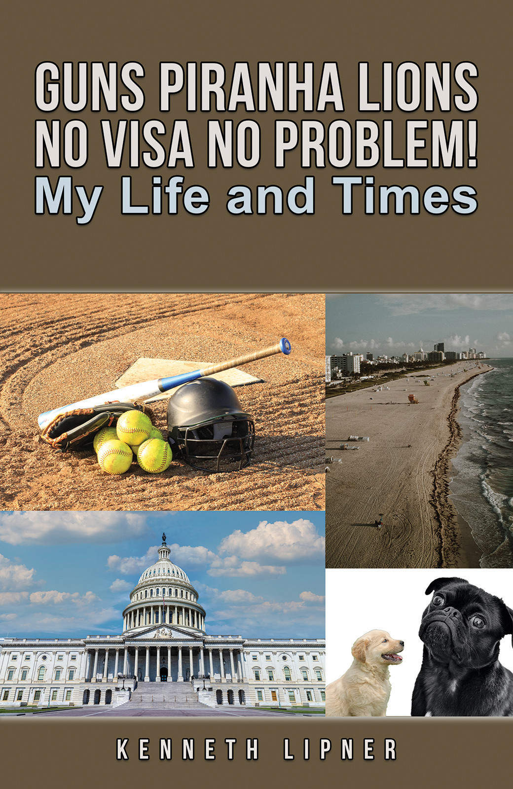 Guns Piranha Lions No Visa No Problem!-bookcover