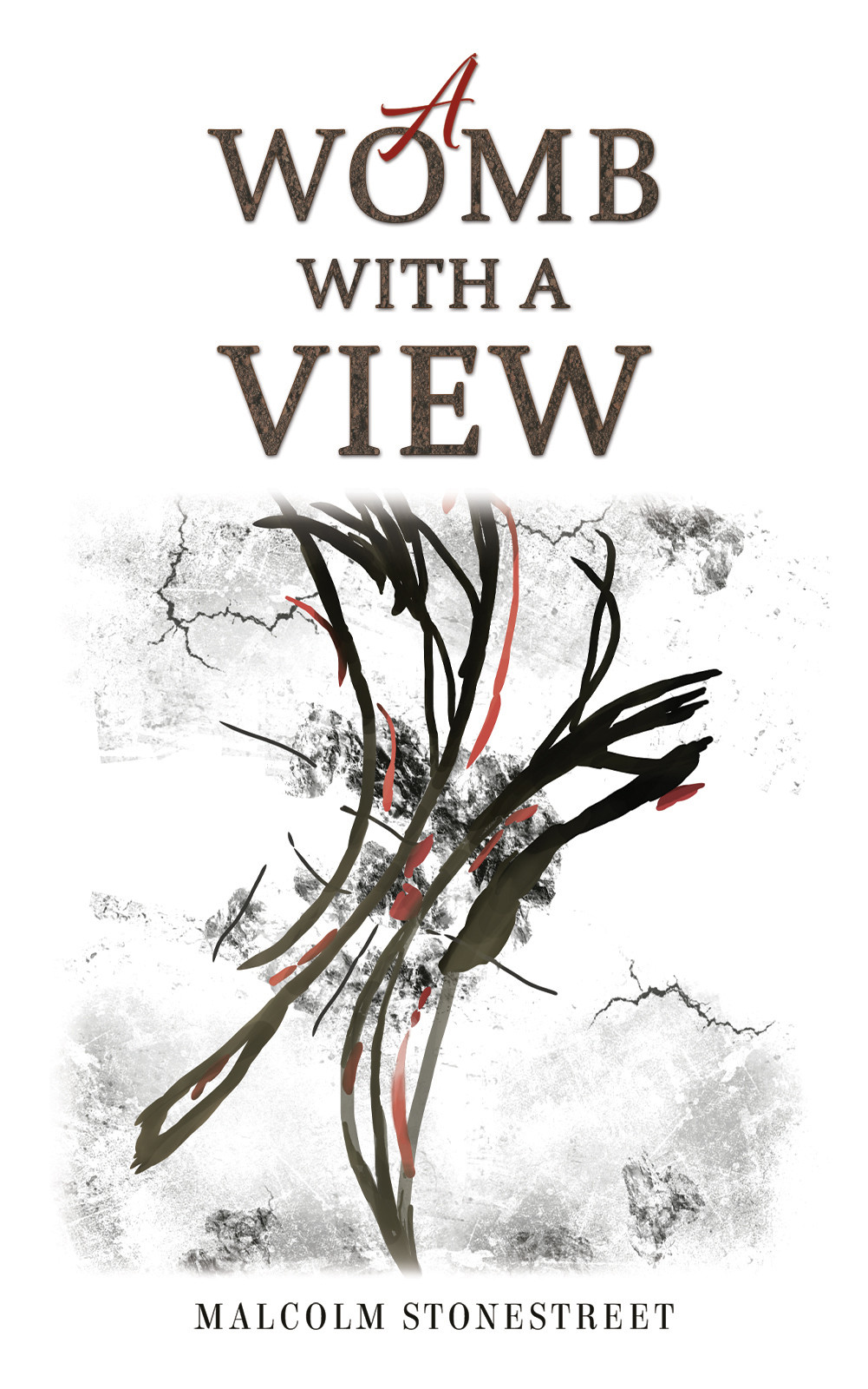 A Womb With a View-bookcover