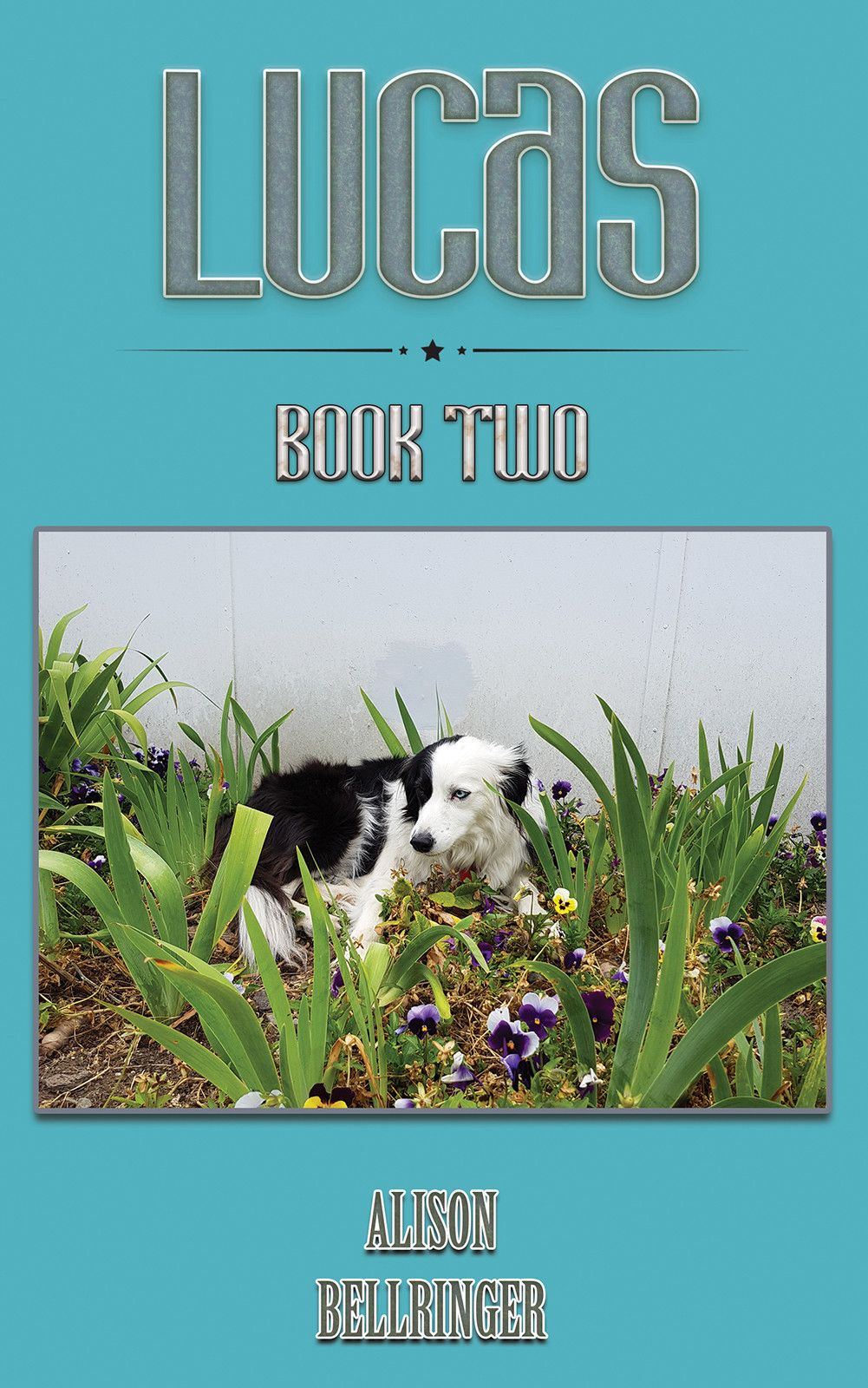 Lucas-bookcover