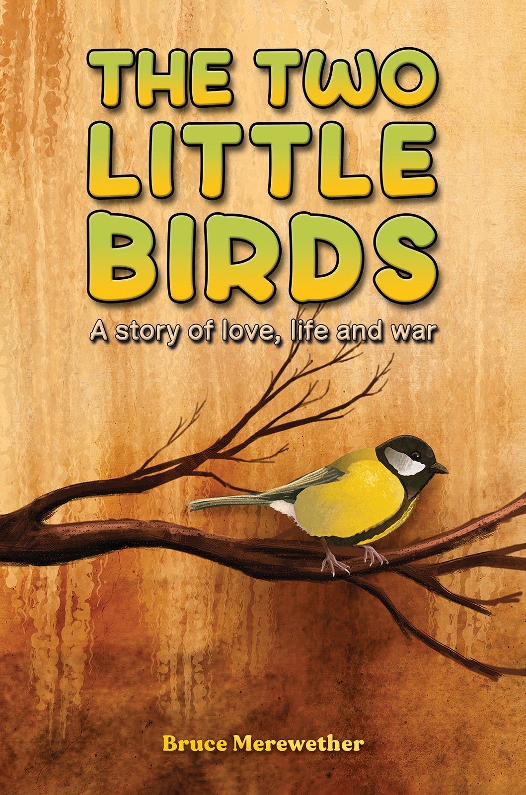 The Two Little Birds-bookcover