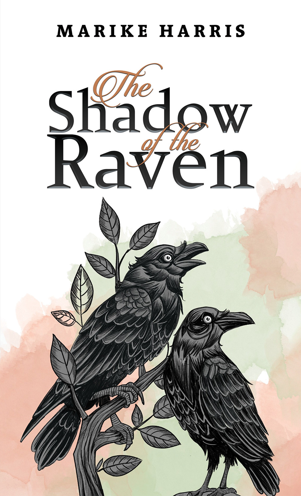 The Shadow of the Raven-bookcover