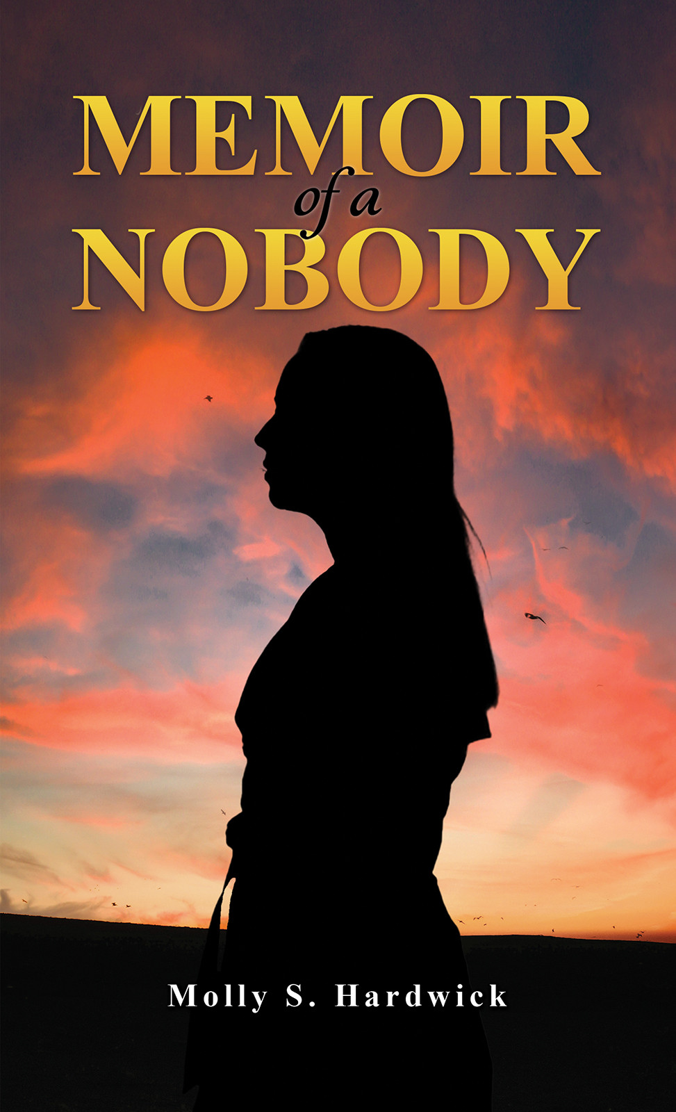 Memoir of a Nobody