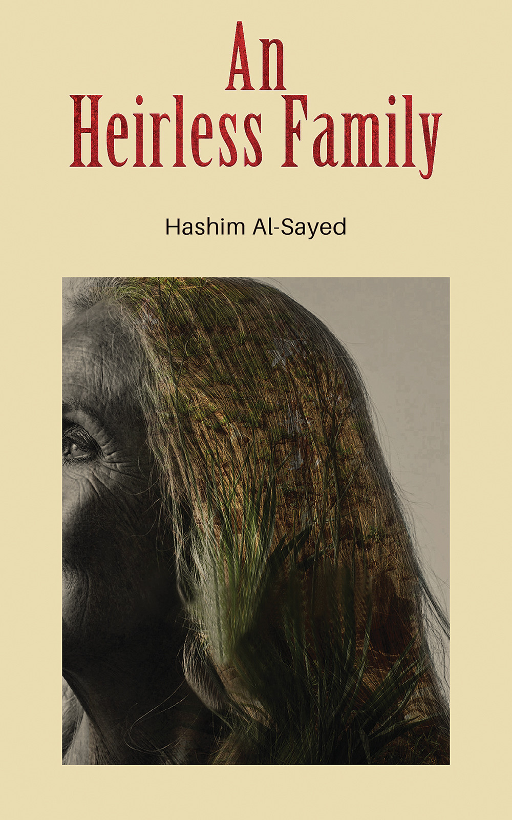 An Heirless Family-bookcover