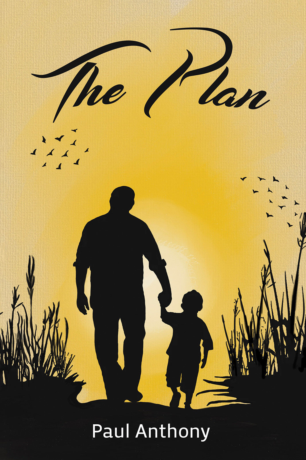 The Plan-bookcover