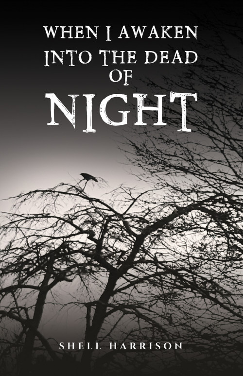 When I Awaken Into The Dead of Night-bookcover