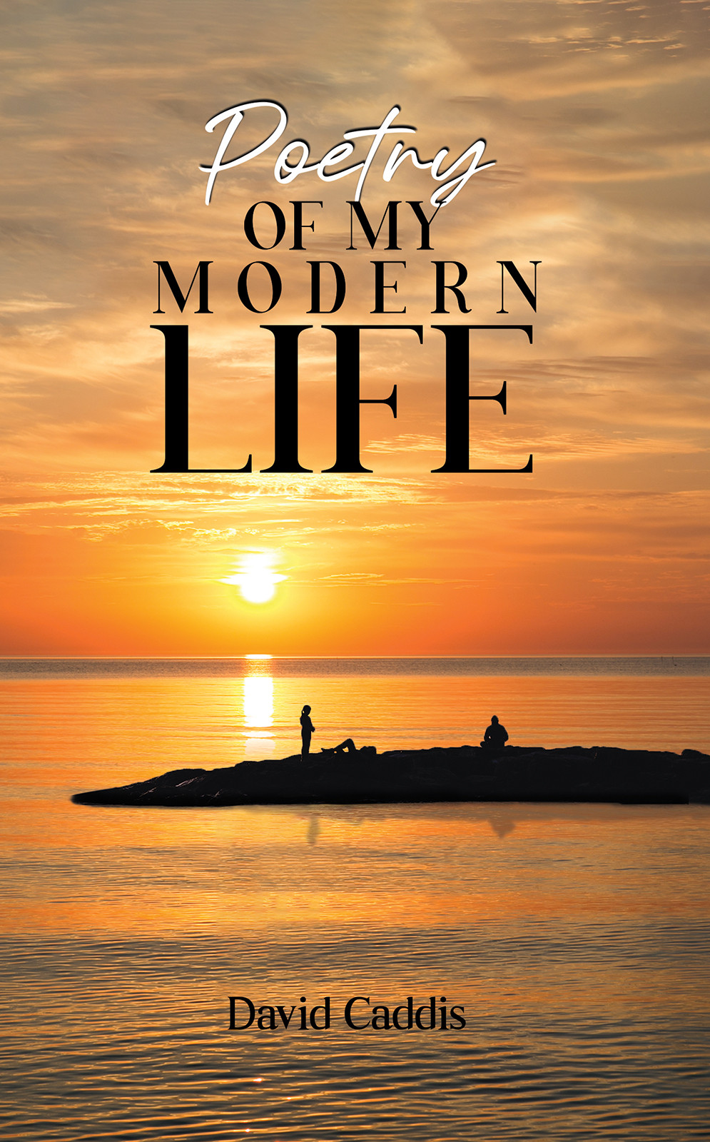 Poetry of My Modern Life-bookcover