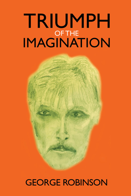 Triumph of the Imagination-bookcover