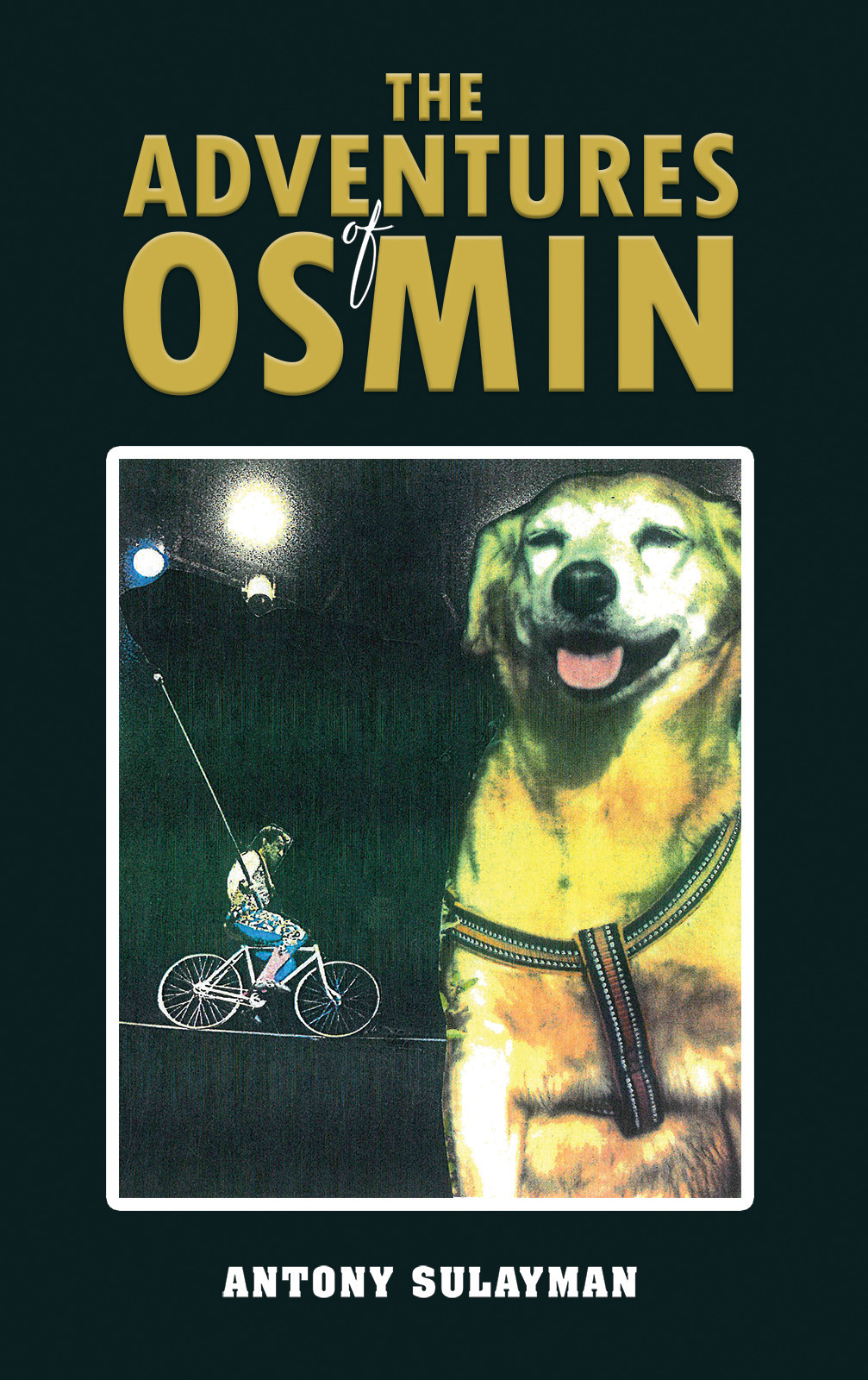 The Adventures of Osmin