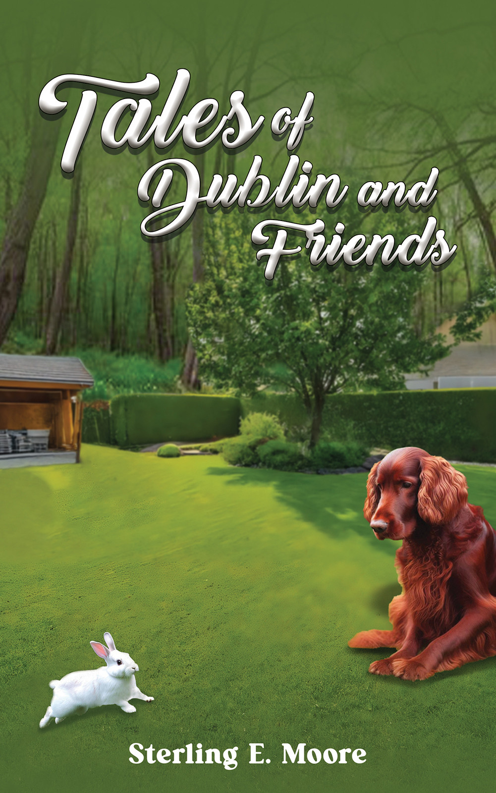 Tales of Dublin and Friends