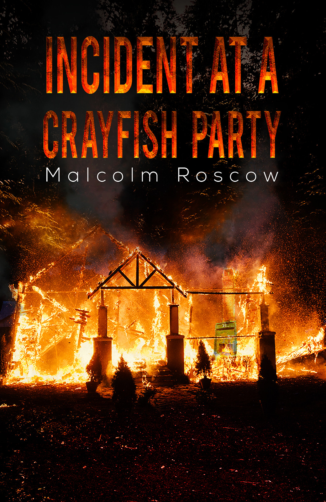 Incident at a Crayfish Party-bookcover