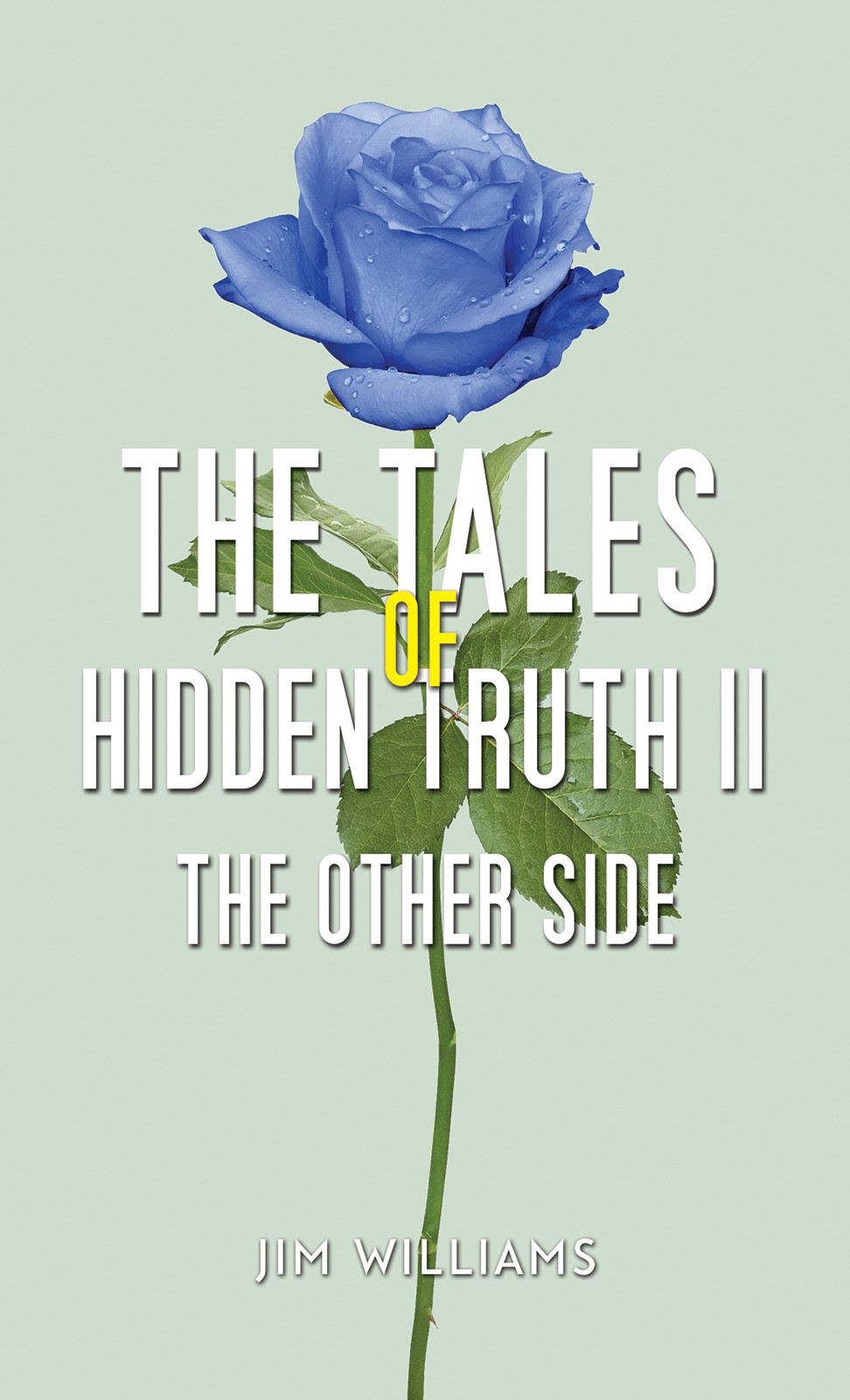 The Tales of Hidden Truth II