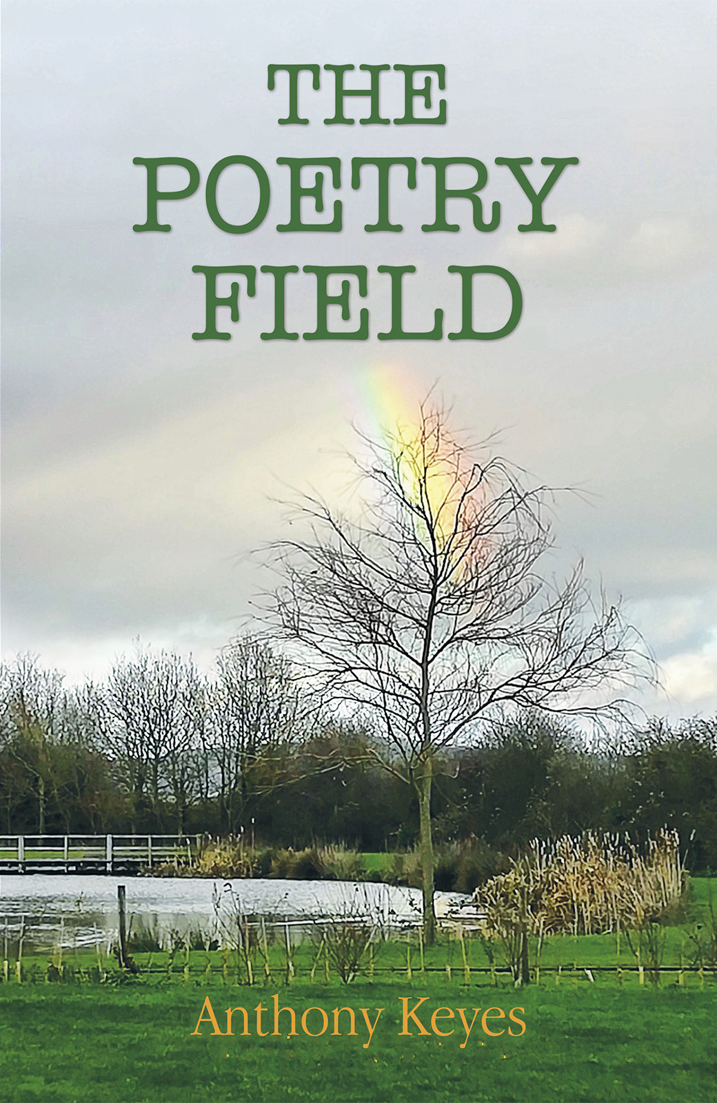 The Poetry Field