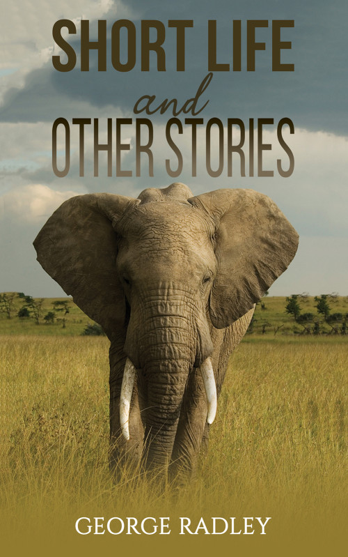 Short Life and Other Stories-bookcover