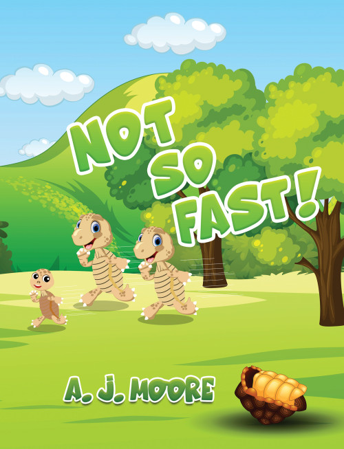 Not So Fast!-bookcover