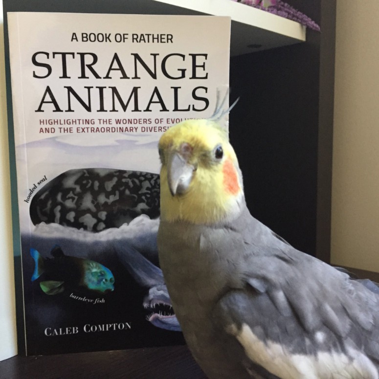 A Book of Rather Strange Animals by Caleb Compton Gets Featured on Twitter