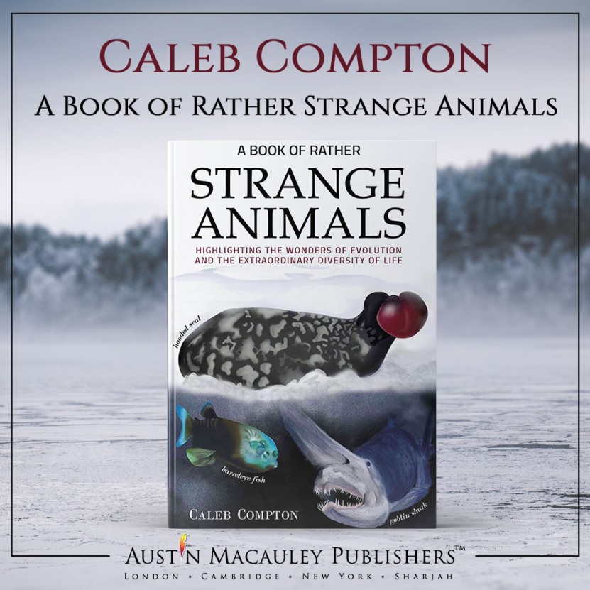 The Website Project Aware Featured A Book of Rather Strange Animals by Caleb Compton