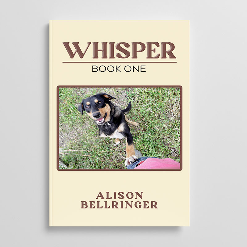 Alison Bellringer in Interview with Reading Nook