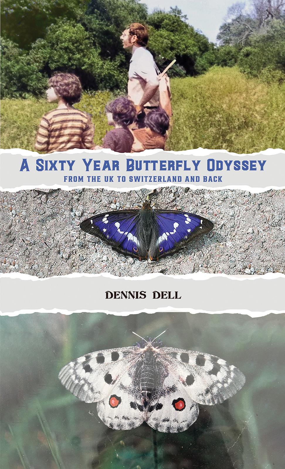 A Sixty Year Butterfly Odyssey A Sixty Year Butterfly Odyssey