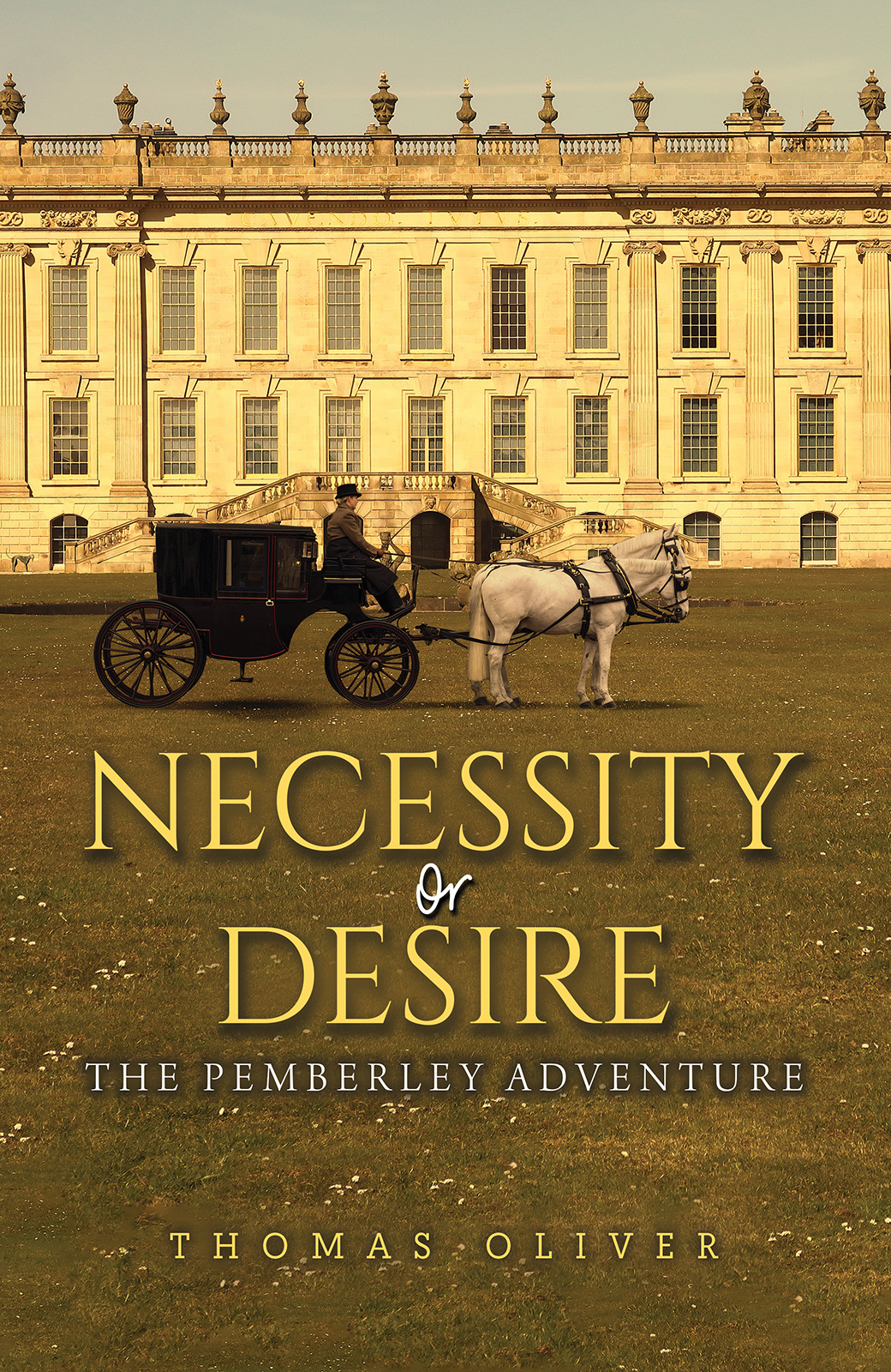 Necessity or Desire Necessity or Desire