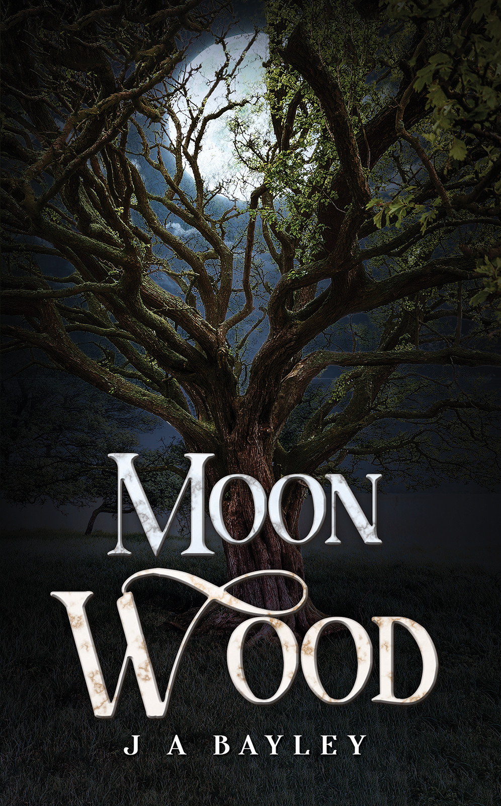 Moon Wood Moon Wood