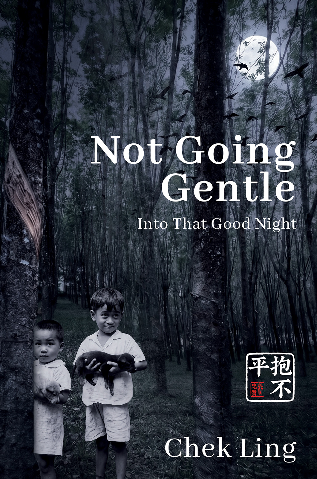 Not Going Gentle Not Going Gentle